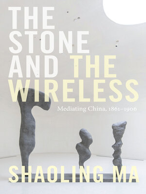 cover image of The Stone and the Wireless